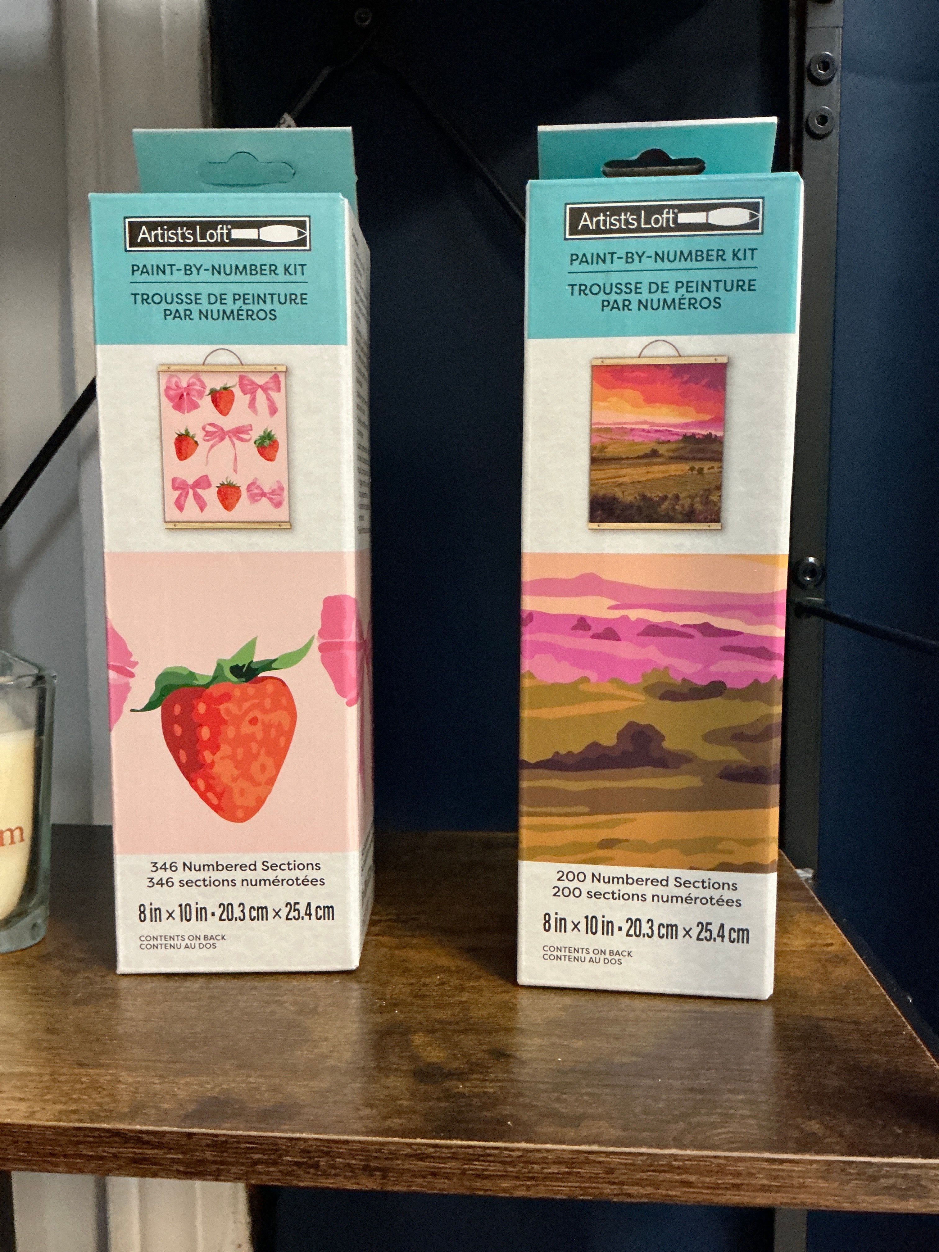 Paint by number kits